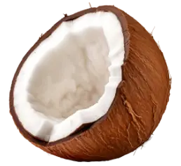lait de coco